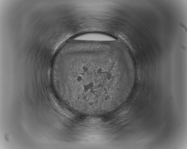 X0000102380491200808221805