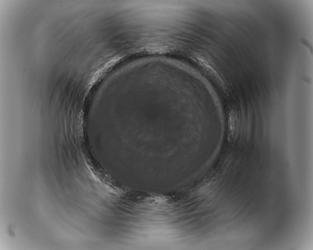 X0000102380492200808221805