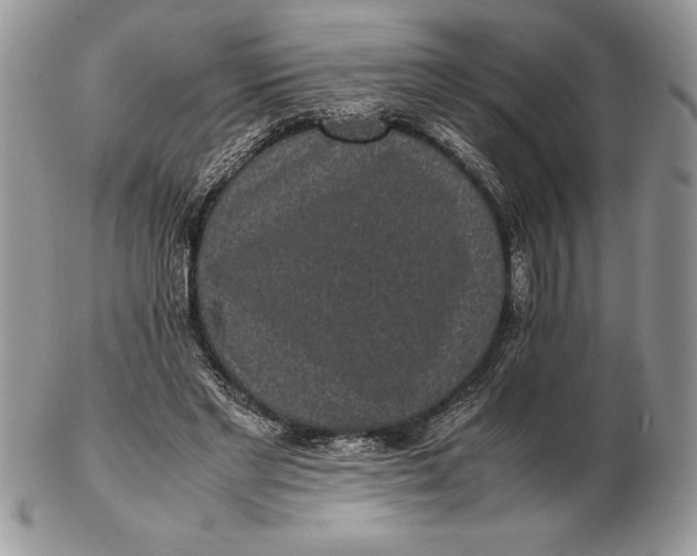 X0000102380493200808221805