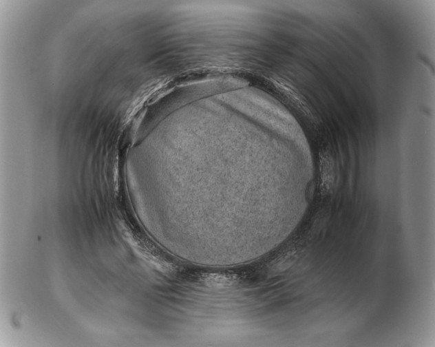 X0000102380494200808221805