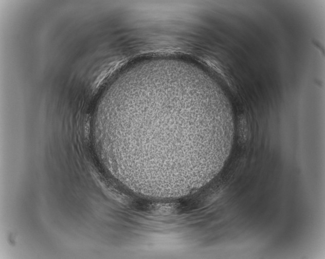 X0000102380495200808221805