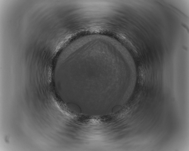 X0000102380496200808221805