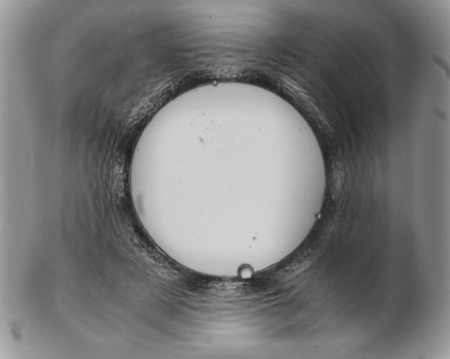 X0000102380497200808221805