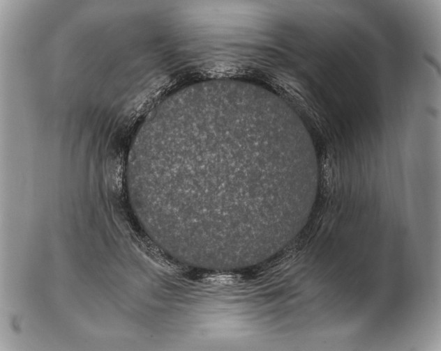 X0000102380499200808221805