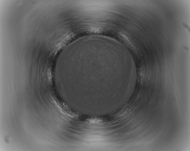 X0000102380500200808221805