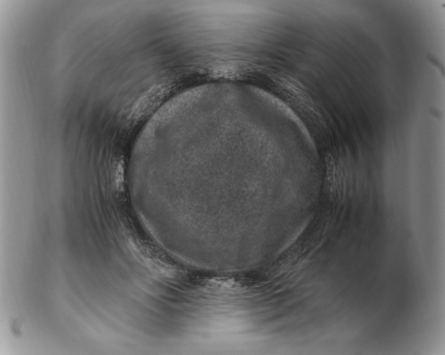 X0000102380502200808221805