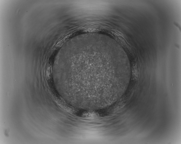 X0000102380503200808221805