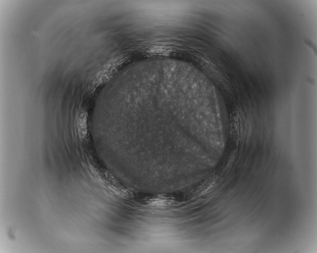 X0000102380504200808221805