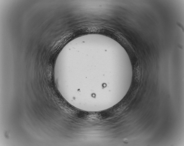 X0000102380505200808221805