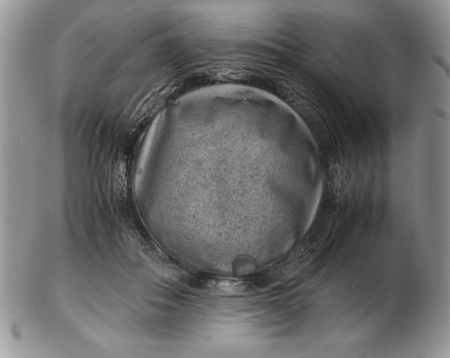 X0000102380506200808221805