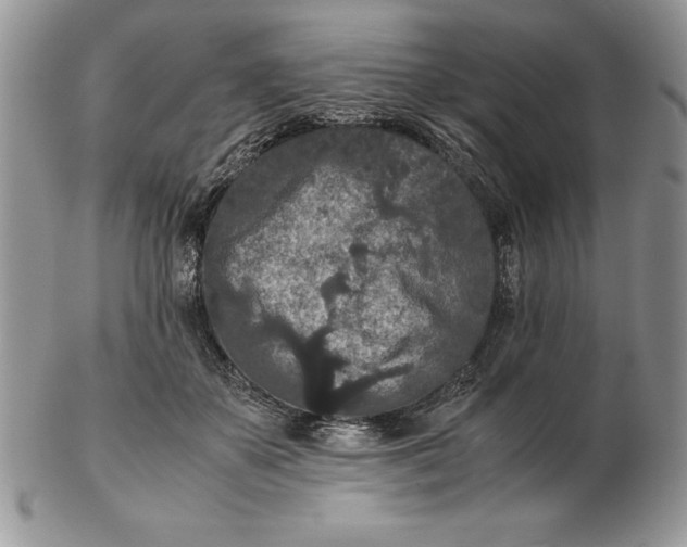 X0000102380507200808221805