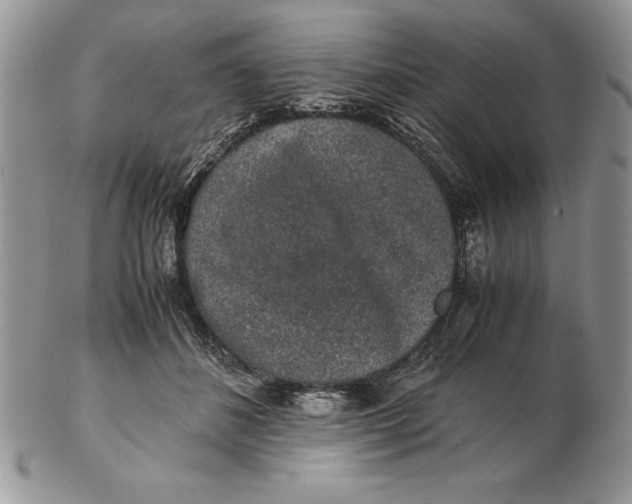 X0000102380508200808221805