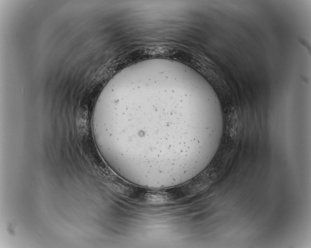 X0000102380510200808221805