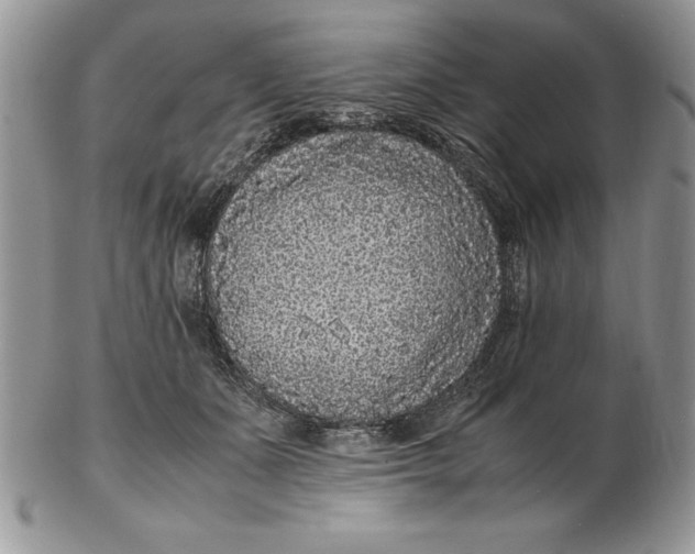 X0000102380511200808221805