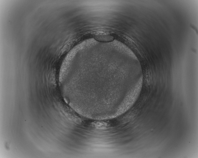 X0000102380512200808221805