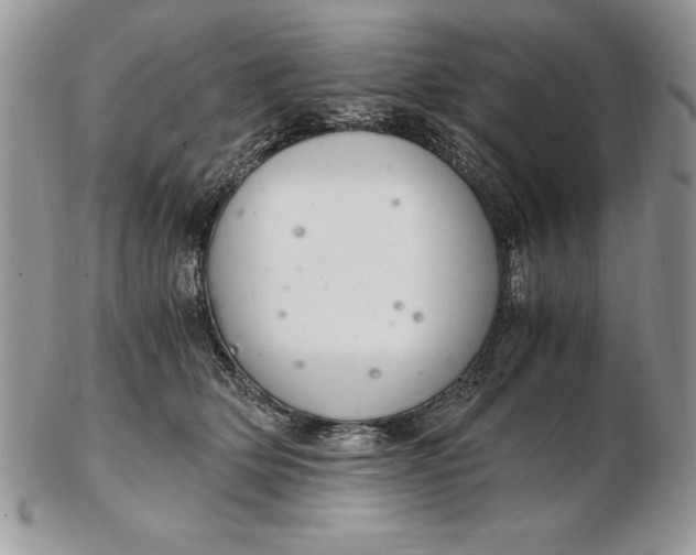 X0000102380514200808221805