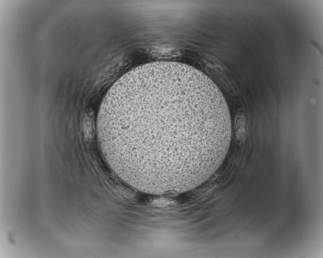 X0000102380515200808221805