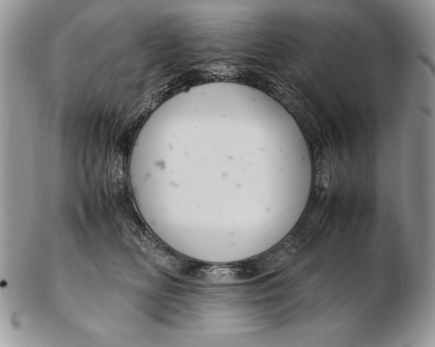 X0000102380518200808221805