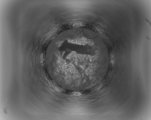 X0000102380519200808221805