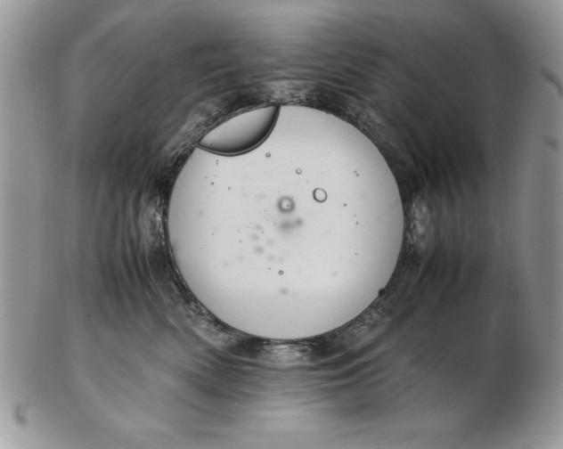 X0000102380522200808221805