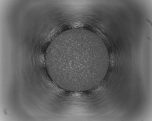 X0000102380523200808221805