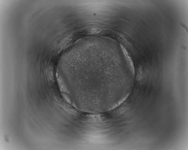 X0000102380524200808221805