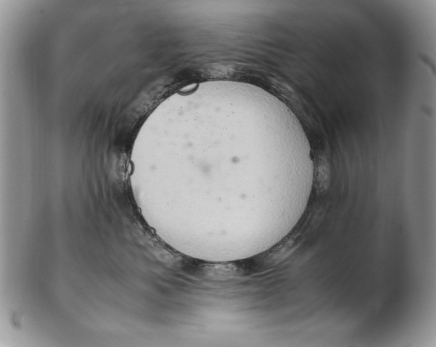 X0000102380525200808221805