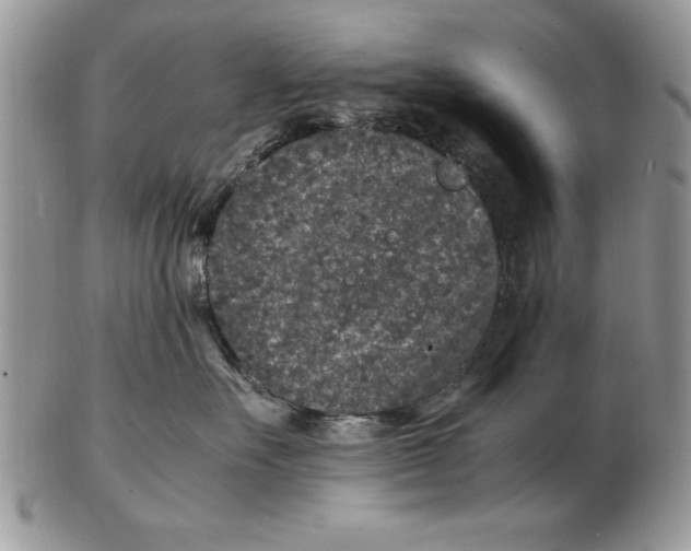 X0000102380527200808221805