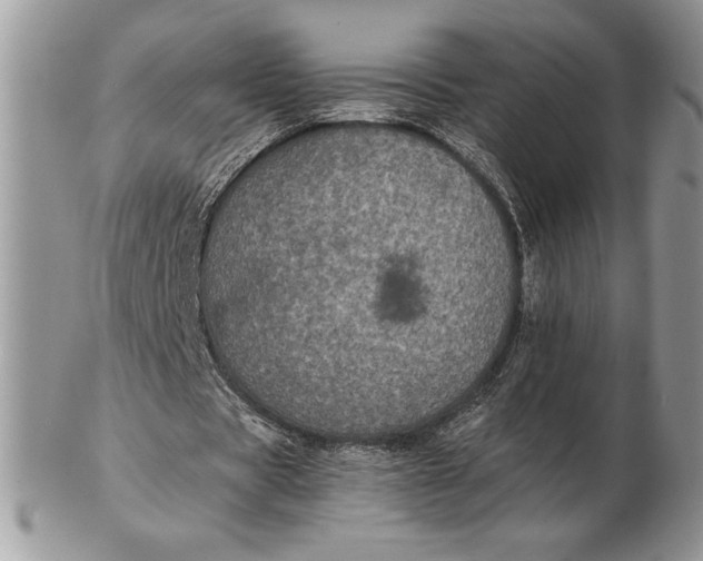 X0000102380529200808221804