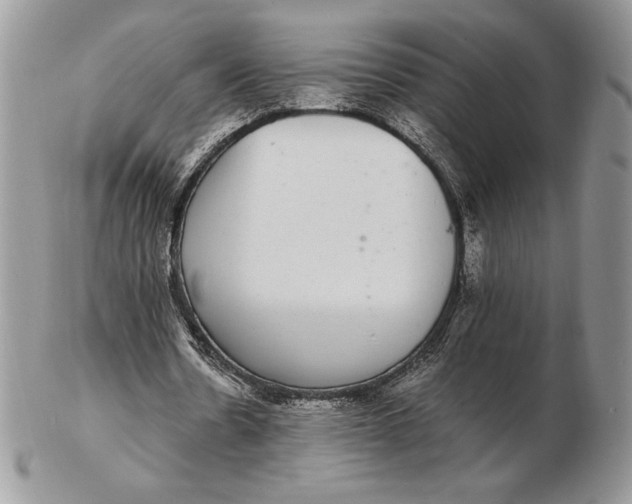 X0000102380530200808221804