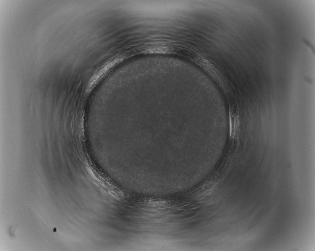 X0000102380531200808221804