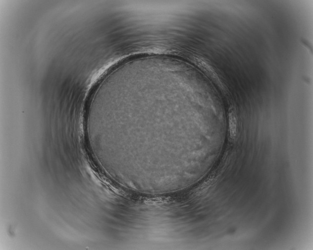 X0000102380532200808221804