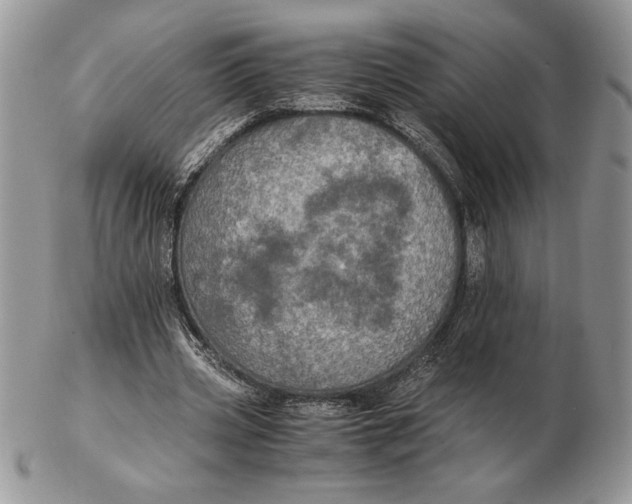 X0000102380533200808221804