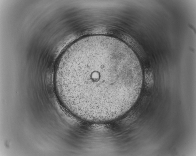 X0000102380534200808221804