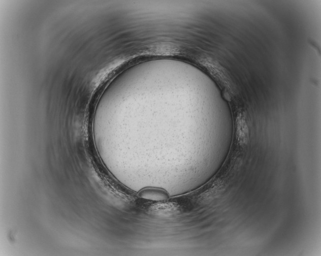 X0000102380536200808221804