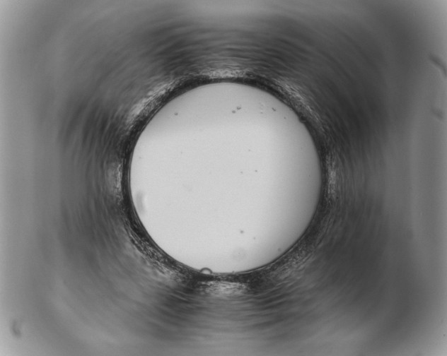 X0000102380539200808221804