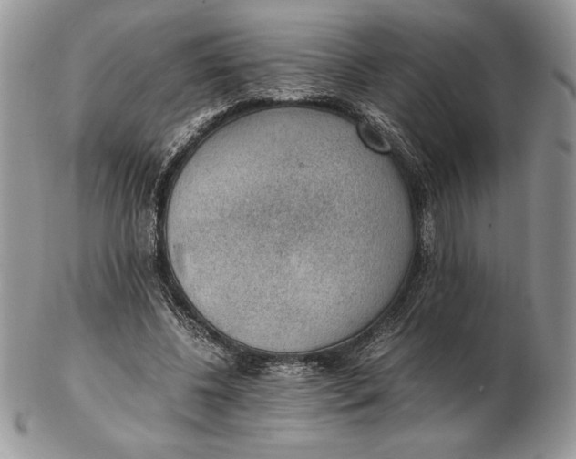 X0000102380540200808221804