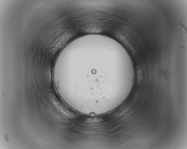 X0000102380541200808221804