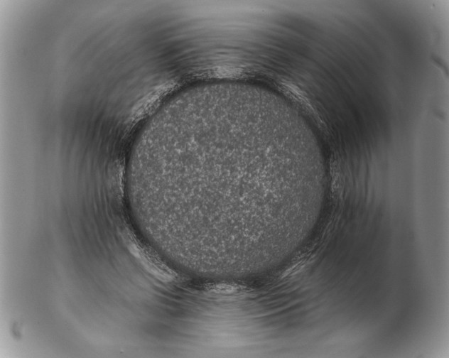 X0000102380542200808221804