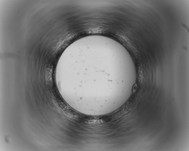 X0000102380543200808221804