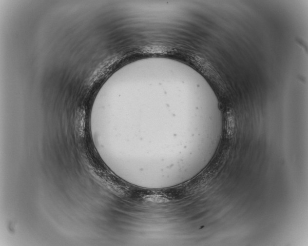 X0000102380544200808221804