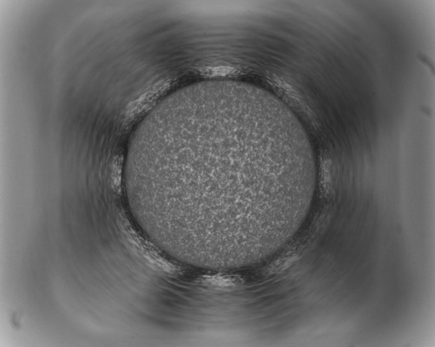 X0000102380545200808221804