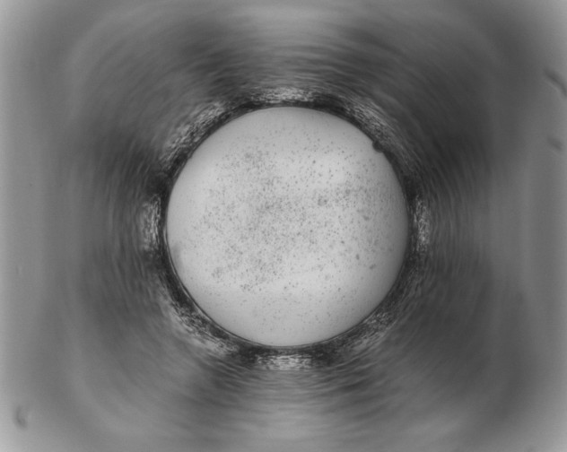 X0000102380546200808221804