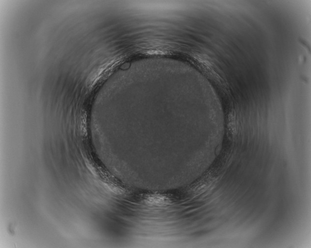 X0000102380547200808221804