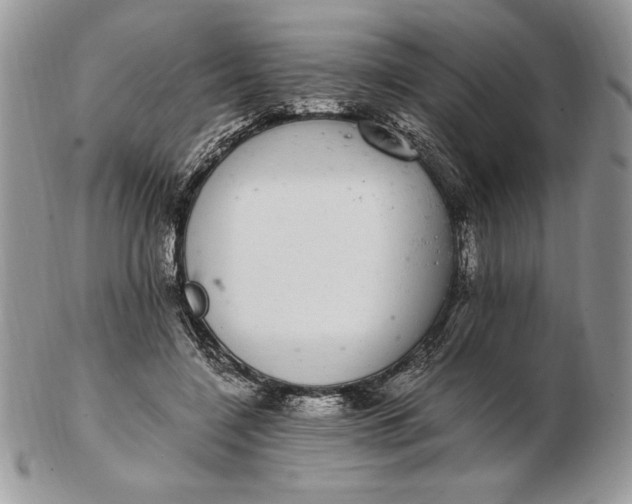 X0000102380548200808221804