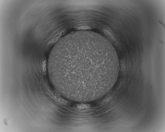 X0000102380549200808221804