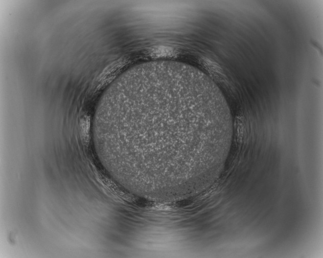 X0000102380550200808221804