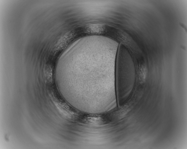 X0000102380552200808221804