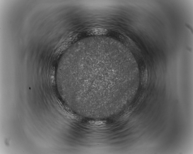 X0000102380553200808221804