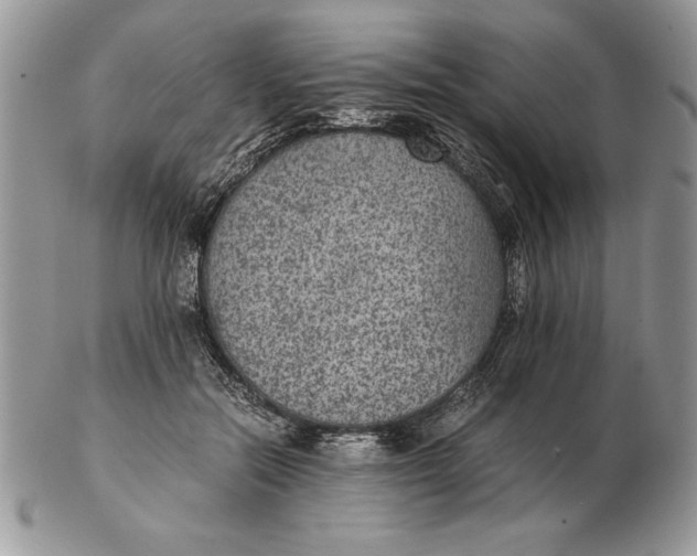 X0000102380554200808221804